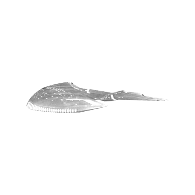 Bloodfang Class Carrier